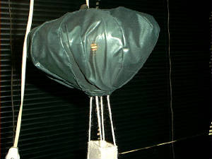 picture246.jpg