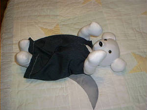 picture277.jpg