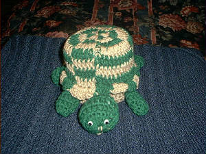 turtle.jpg