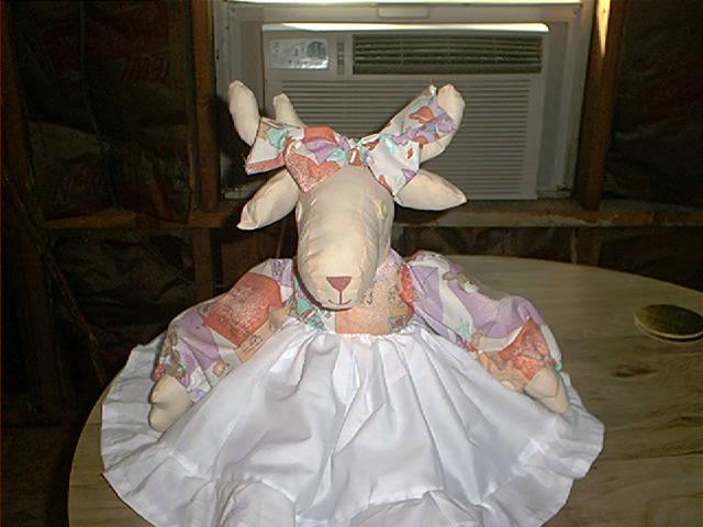 picture289.jpg