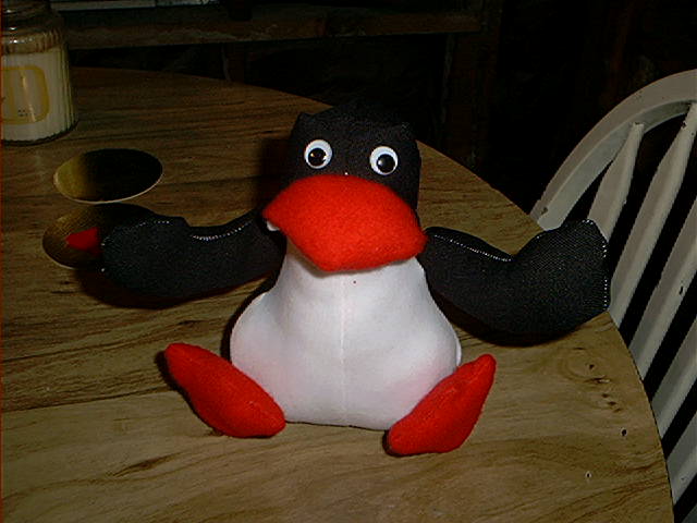 picture296.jpg