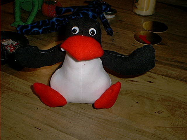 picture297.jpg